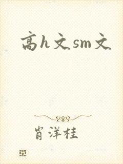 高h文sm文