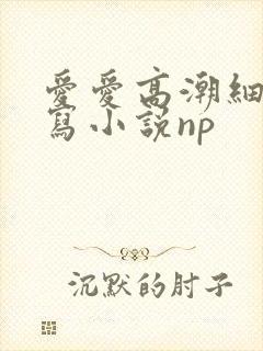 爱爱高潮细节描写小说np