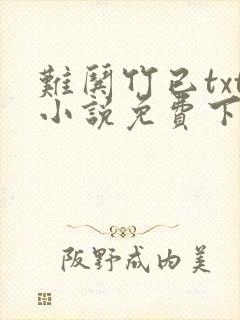 难哄竹已txt小说免费下载