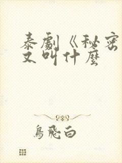 泰剧《秘密爱》又叫什么封面