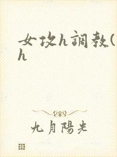 女攻h调教(高h