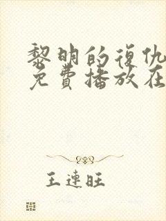 黎明的复仇电影免费播放在线观看
