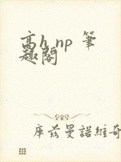 高h np 笔趣阁