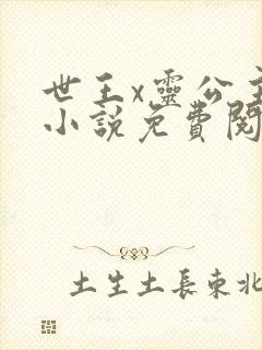 世王x灵公主的小说免费阅读封面