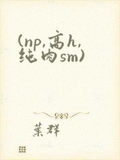(np,高h,纯肉sm)封面