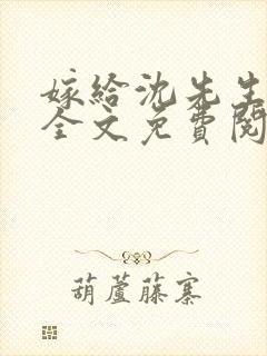 嫁给沈先生小说全文免费阅读