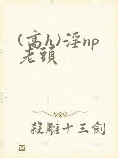 (高h)淫np老头