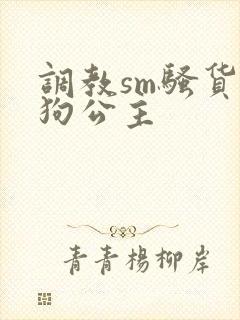 调教sm骚货母狗公主封面