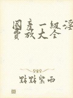 国产一级淫片免费放大全封面