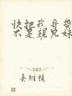 快把我哥带走是不是亲兄妹封面