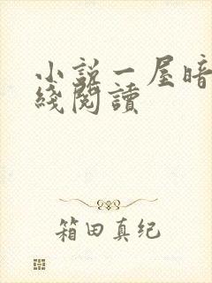 小说一屋暗灯在线阅读
