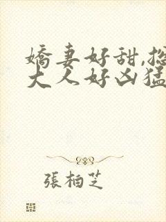 娇妻好甜,总裁大人好凶猛苏南风