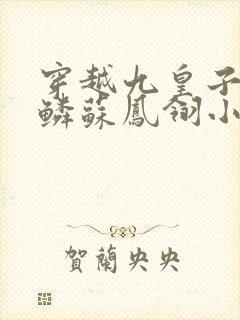 穿越九皇子李龙鳞苏凤翎小说
