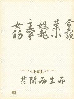 女主姓叶会医术的穿越小说