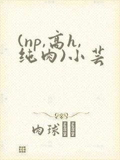 (np,高h,纯肉)小芸