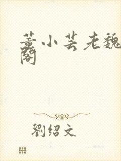 董小芸老魏笔趣阁封面