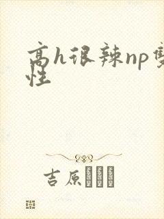 高h很辣np双性