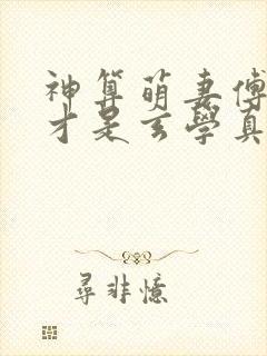 神算萌妻傅太太才是玄学真大佬全部章节