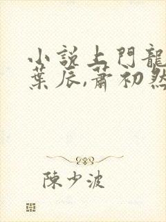 小说上门龙婿,叶辰,萧初然封面