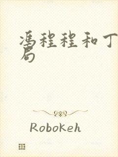 冯程程和丁力结局