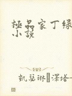 极品家丁绿帽版小说