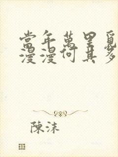 当年万里觅封侯漫漫何其多讲的什么封面