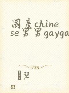 国产chinese男男gaygay网站vk