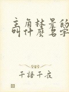 主角林晨的小说叫什么名字
