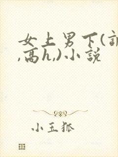 女上男下(调教,高h,)小说封面