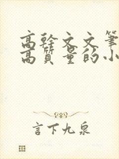 高干文文笔好的高质量的小说现代言情