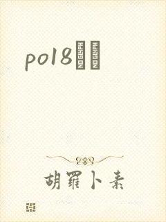 po18С˵