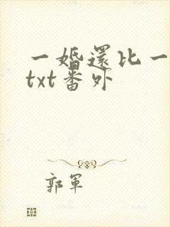 一婚还比一婚高txt番外封面