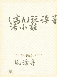 (高h)玩淫蒂法小说封面