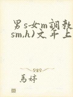 男s女m调教(sm,h)文年上
