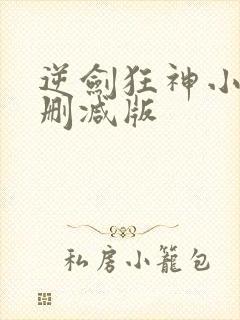 逆剑狂神小说无删减版