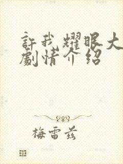 许我耀眼大结局剧情介绍