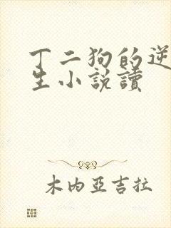 丁二狗的逆袭人生小说读封面