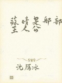 苏晴是哪部小说主人公封面