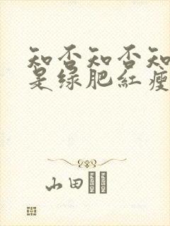 知否知否知否应是绿肥红瘦有多少集