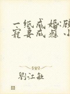 一纸成婚:顾少宠妻成瘾 小说封面