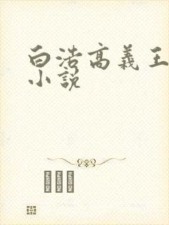 白浩高义王局长小说
