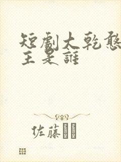 短剧大乾憨婿男主是谁