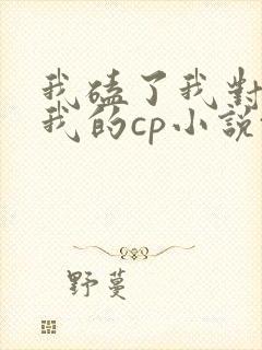 我磕了我对家和我的cp小说txt