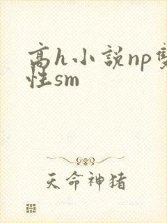 高h小说np双性sm封面
