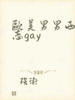 欧美男男西装同志gay封面