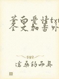 苍白爱情txt全文加番外