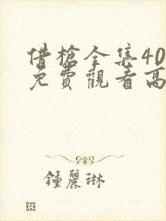 借枪全集40集免费观看高清版封面