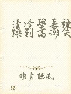 清冷学长被爆c躁到高潮失禁封面