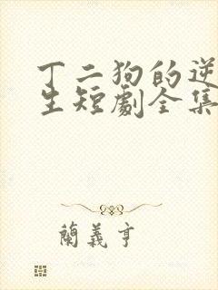 丁二狗的逆袭人生短剧全集