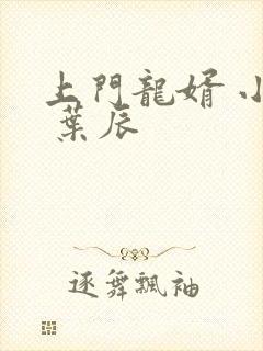 上门龙婿 小说 叶辰